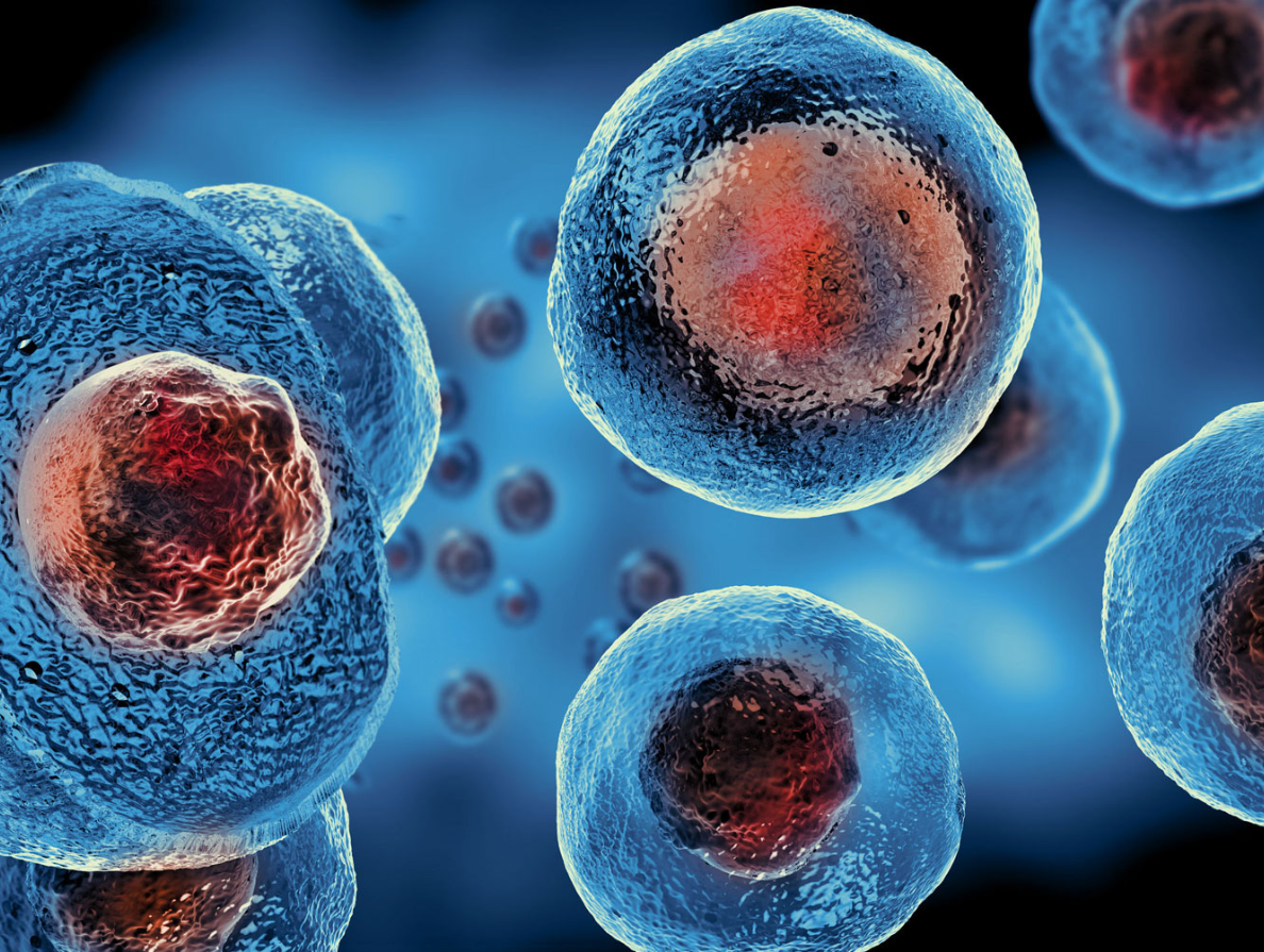 Stem cells 01